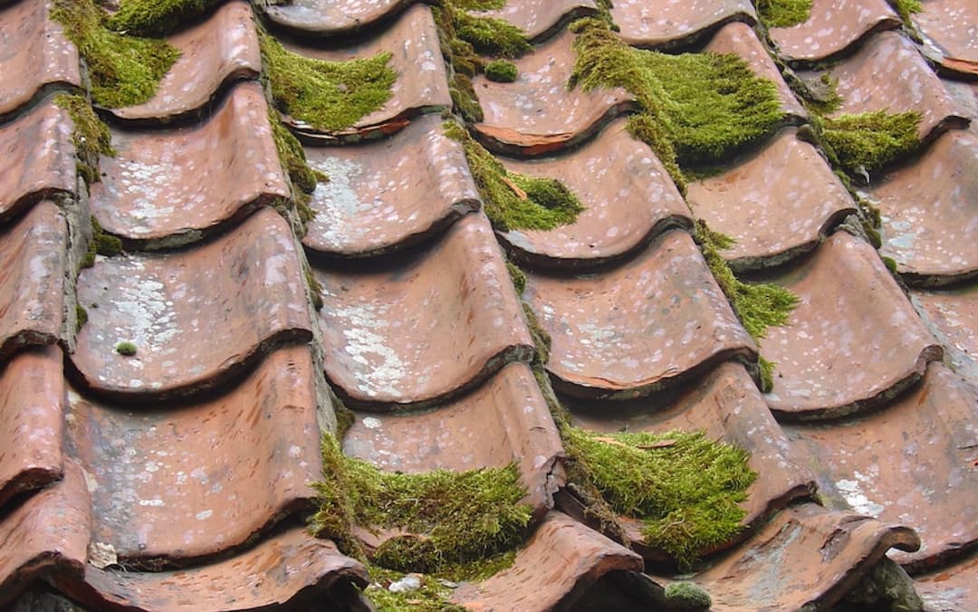 Gutters On Your House