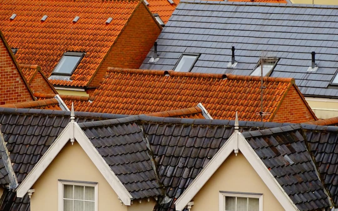 Roofs in the Winter